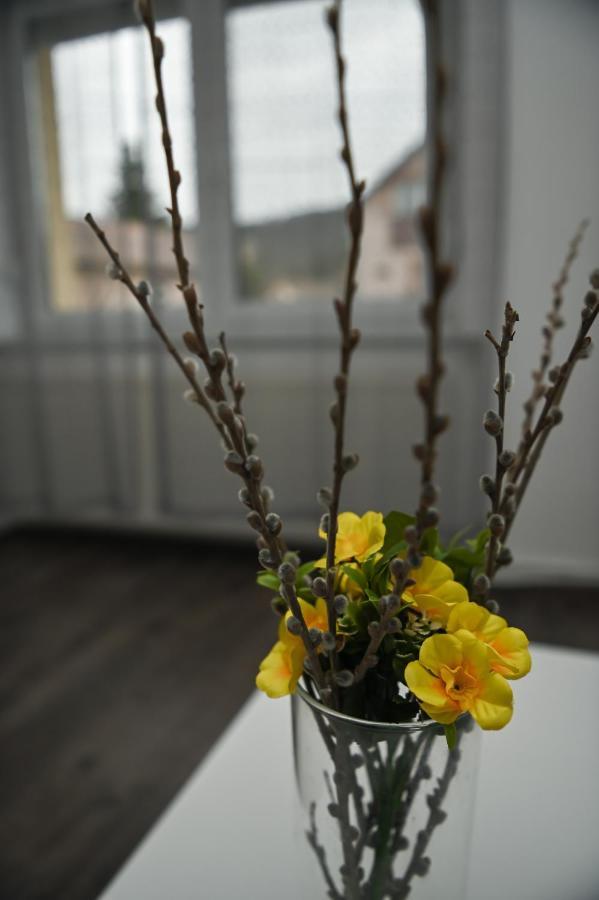 Rozsa Vendeghaz Hotel โทไก ภายนอก รูปภาพ